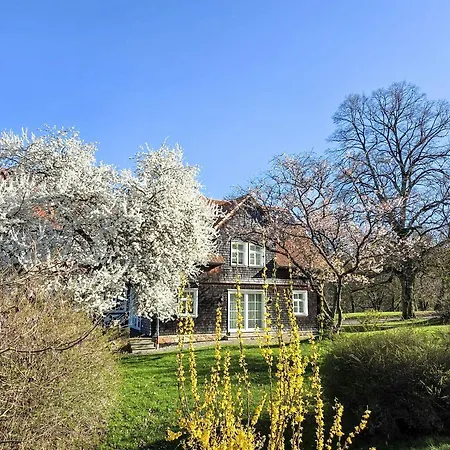 With Mid-century Design In Hesse Vakantiehuis Alheim